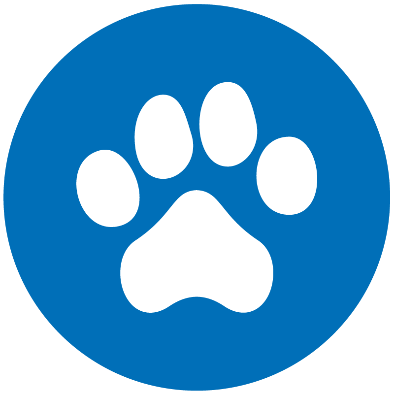 MR Taxi TPMR Animaux