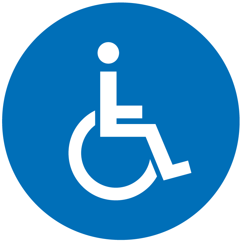 MR Taxi TPMR Handicap